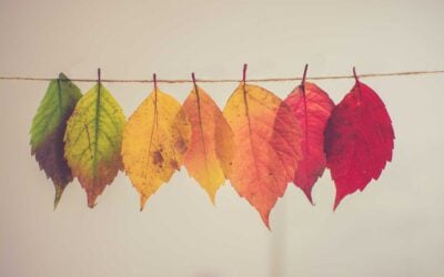 Welcome Fall, Welcome Change!